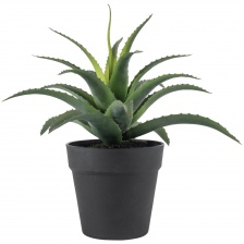 Faux Aloe in a pot 31cm by Grand Illusions